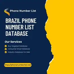 Brazil Phone Number List Database