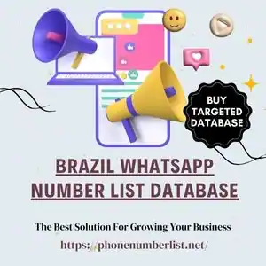 Brazil WhatsApp Number List Database