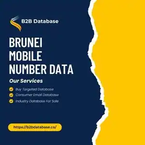 Brunei Mobile Number Data